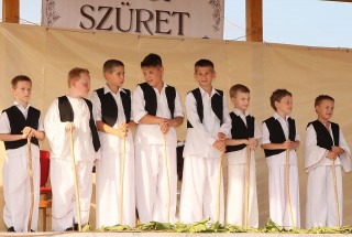 Apci Szüret 2014.