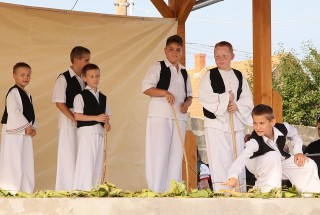 Apci Szüret 2014.
