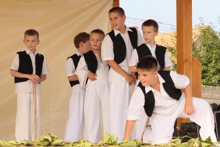 Apci Szüret 2014.