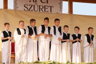 Apci Szüret 2014.