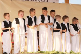 Apci Szüret 2014.