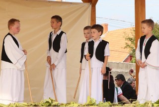 Apci Szüret 2014.