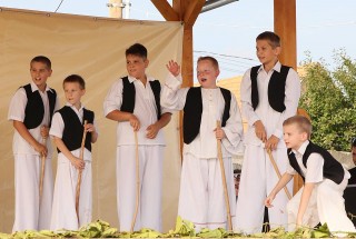 Apci Szüret 2014.
