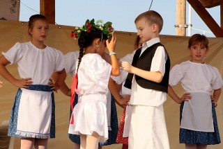 Apci Szüret 2014.