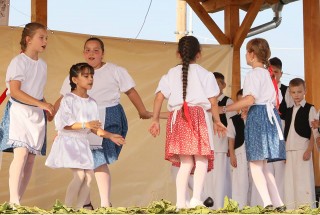 Apci Szüret 2014.