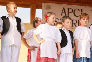 Apci Szüret 2014.