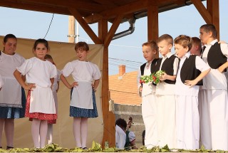 Apci Szüret 2014.