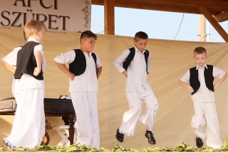 Apci Szüret 2014.