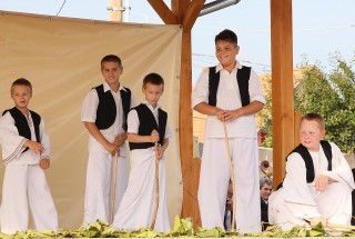 Apci Szüret 2014.
