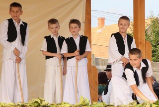 Apci Szüret 2014.
