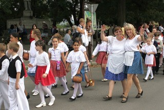 Apci Szüret 2014.