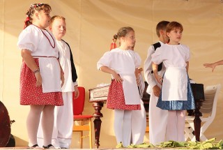 Apci Szüret 2014.