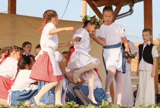 Apci Szüret 2014.
