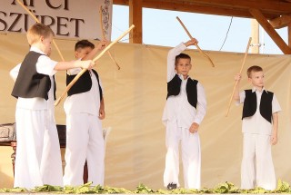 Apci Szüret 2014.